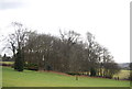 Woodland by the path to Mayfield in TN20 6PU