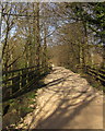 Former railway line, Rock Hall Wood in HG3 3BG