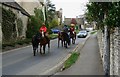 Ponies on the B4425, Arlington, Gloucestershire in GL7 5NJ