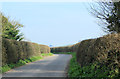 2012 : Trimmed hedgerows on the road to Kingston Deverill in BA12 7HH
