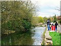 River Coln, Bibury, Gloucestershire in GL7 5NJ