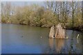 Part of Kingsbury Lakes Nature Reserve in B46 2HH