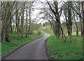 Fawley Bottom Lane approaches Jubilee Plantation in RG9 6JJ