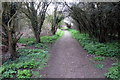 Footpath towards the railway in SG15 6TQ