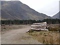 Forestry in Glen Clova in DD8 4RB