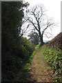 Old lane near Waytown in DT6 5FT