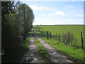 The track to Follyhill Cottage in NG23 5TU