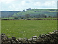 Upland pasture above Ible in Ible