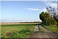 Farm track at West Row in IP28 8PW