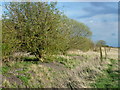 Old railway track bed north of Postland in PE6 0JU