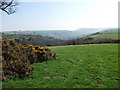 Upland grazings above Glyn Ceiriog in LL20 7DB