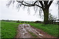 Farm Track off the A522 between Fole and Beamhurst in ST10 4HN
