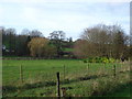 View towards stream from Holly Grove Farm in BH21 5LB