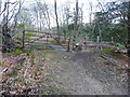 Stile and gate below Marley Heights in GU27 3DX