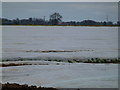 Looks like snow near Moulton, Spalding in PE12 6EB