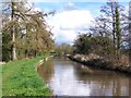 Llangollen Canal near Marbury in Marbury and District