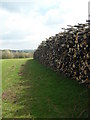 Timber near Woodmancote in GL7 7DR