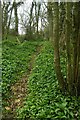Footpath into Old Park Woods in GL7 7DD