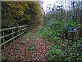 Bridleway near Sandymere in CW6 9EH