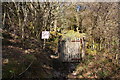 Path into the forest near Gareg-fawr in Llanfrothen Community