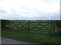 Field entrance off Hall Lane in YO61 2QX