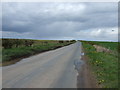 Minor road heading north towards Dishforth Airfield in YO51 9BG
