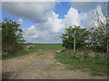 A bridleway off Sturdy Hill (road) in Reston