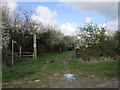 A footpath leading to Castle Hill in Reston