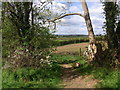 Bridleway from Yessell Farm to Cropthorne in WR11 2RD