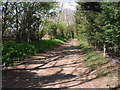 Bridleway to the houses and Blacksmith's Lane,  Cropthorne in WR10 3LX