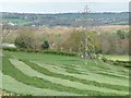 Pylon on mown hillside above Leapmill Burn in NE16 6BL