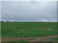 Farmland off the B6265 in Bridge Hewick