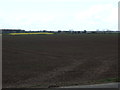 Farmland off the A167 in YO7 3SD
