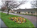 Flower bed, Scotland Head, Winlaton in NE21 6EY