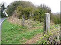 Disused gateposts, Ashtree Lane in NE39 2EB