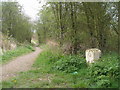 Chesterfield Canal milestone 6 near Norbriggs Cutting in S43 3UQ