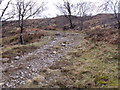 Looking up-track en route to Ceann Caol above Loch Eil in PH33 7AN