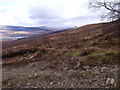 Looking east from Ceann Caol up-track above Loch Eil in PH33 7AN