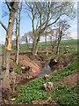 Stogursey Brook, near Durborough Farm in TA5 1LA