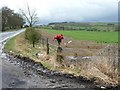 Floral memorial, Lead Road in NE42 5NW