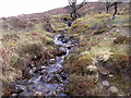 Branch of Allt na h-Eirigh above its crossing with track to Ceann Caol above Loch Eil in PH33 7AN