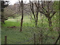 Spring by Blackheath Common in GU5 9EP