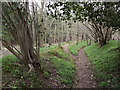 Bridleway to Jelley's Copse in GU5 9EP