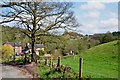 Cottages in the Valley near Oldfurnace in ST10 3AP