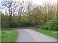 Footpath from south side of lake in M8 4NB