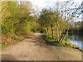 Footpath on eastern shore of lake in M8 4NB