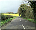 B4009 southeast of Trumplett's Farm in RG18 0ST