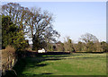 Pasture near Claverley, Shropshire in WV5 7BW