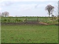 Fenced farmland east of the B6173 in Hobson