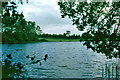 Black Loch, 1980 in PH10 6QW